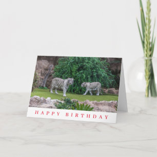 Tarjeta de cumpleaños de tigres blancos