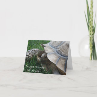 Tarjeta de cumpleaños de Tortoise
