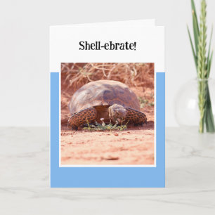 Tarjeta de cumpleaños de tortuga del desierto pleg