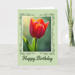 Tarjeta de cumpleaños de Tulipán Carmesí
