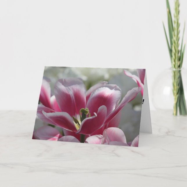 tarjeta de cumpleaños de tulipán rosa (Anverso)