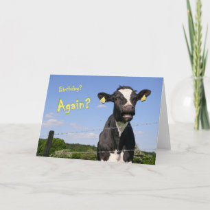 Tarjeta de cumpleaños de vaca