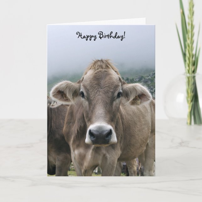 Tarjeta de cumpleaños de vaca alpina (Anverso)