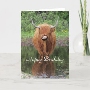 Tarjeta de cumpleaños de vaca Highland