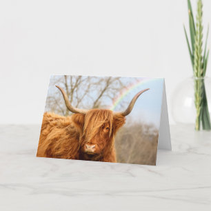 Tarjeta de cumpleaños de vaca Highland