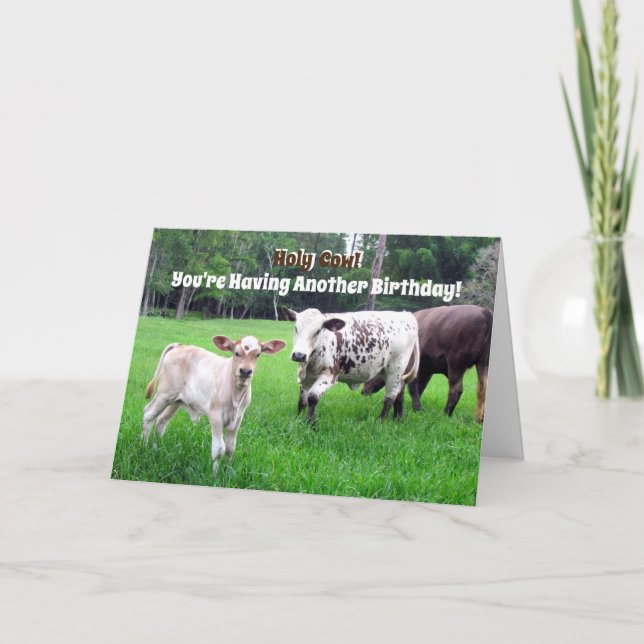 Tarjeta de cumpleaños de vaca - Serie de granjas - (Anverso)