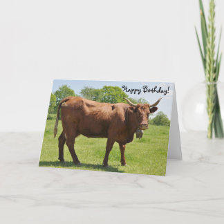 Tarjeta de cumpleaños de vacas de venta