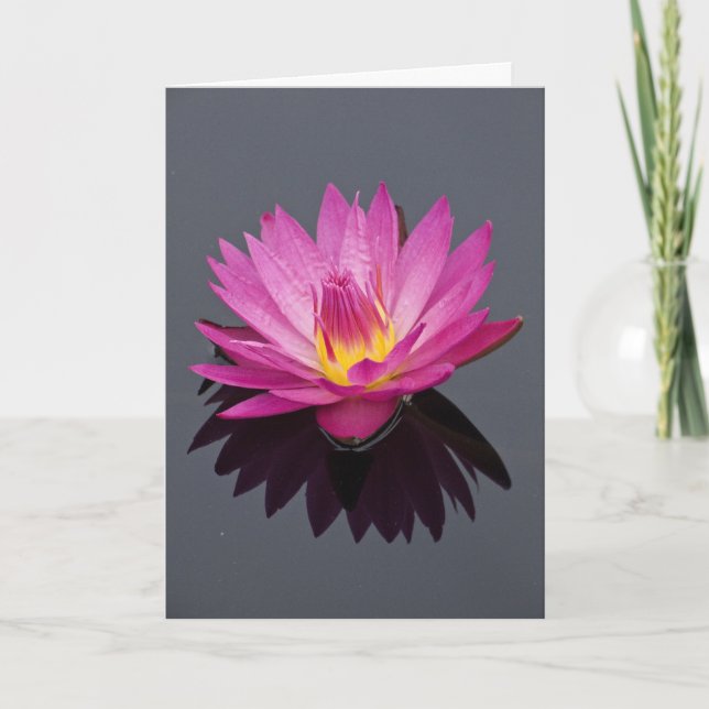Tarjeta de cumpleaños de Water Lily (Anverso)