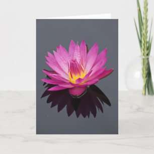 Tarjeta de cumpleaños de Water Lily