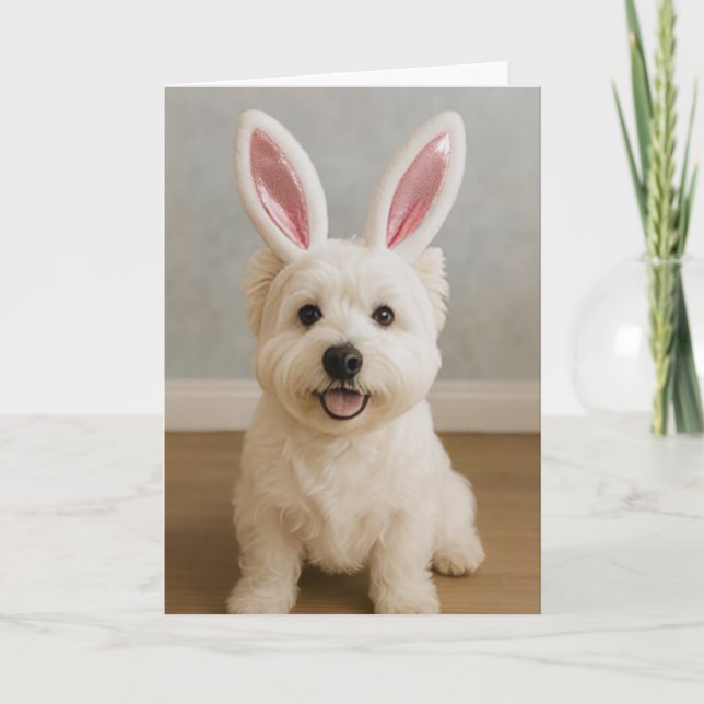 Tarjeta de cumpleaños de Westie de Pascua (Anverso)