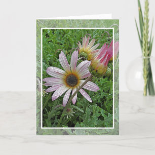 Tarjeta de cumpleaños de Winter Daisy