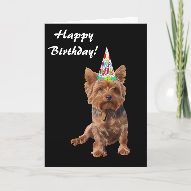 Tarjeta de cumpleaños de Yorkshire Terrier del (Anverso)