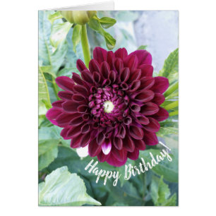 Tarjeta de cumpleaños Deep Purple Dahlia Flower