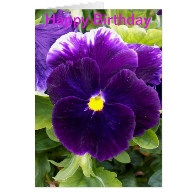 Tarjeta de cumpleaños Deep Purple Pansy (Frente)