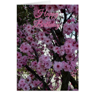 Tarjeta de cumpleaños del árbol florido de primave
