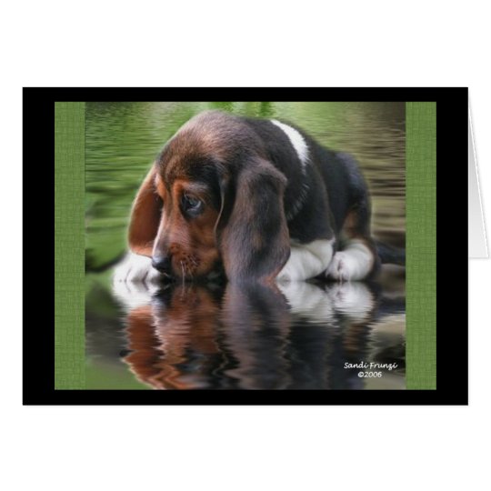 Tarjeta de cumpleaños del beagle