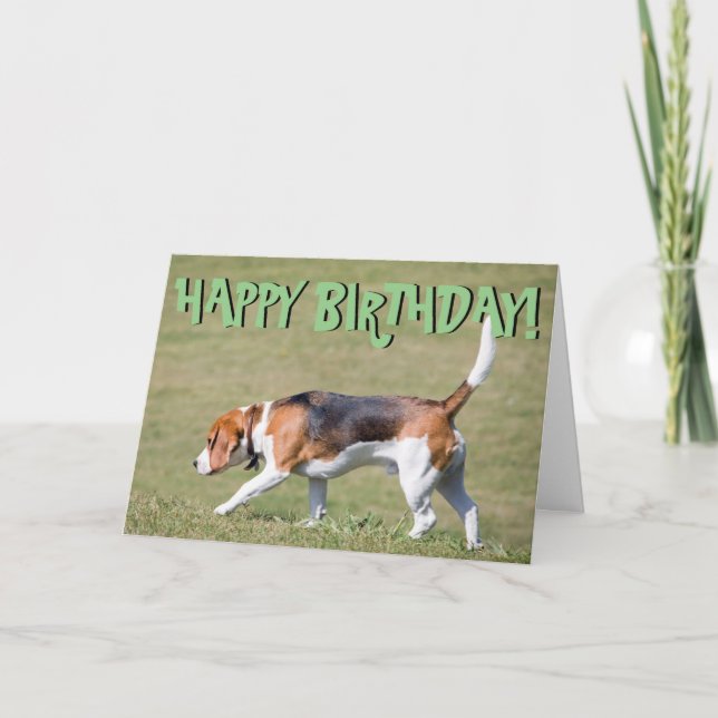 Tarjeta de cumpleaños del beagle (Anverso)