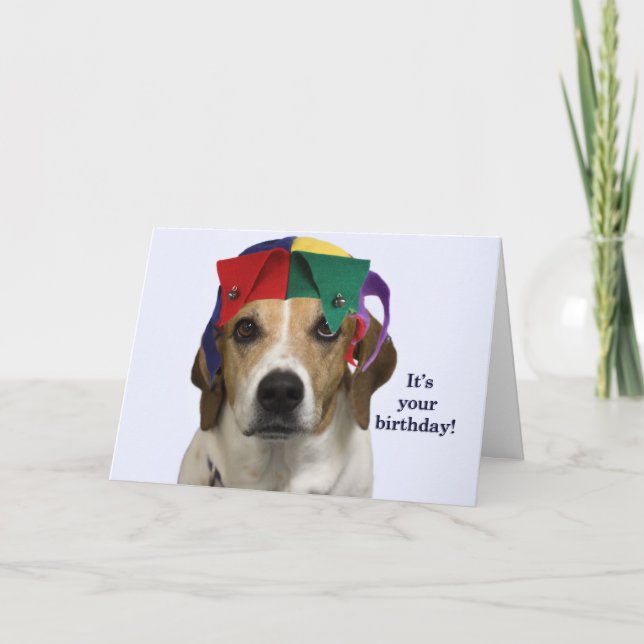 Tarjeta de cumpleaños del beagle por el foco para (Anverso)