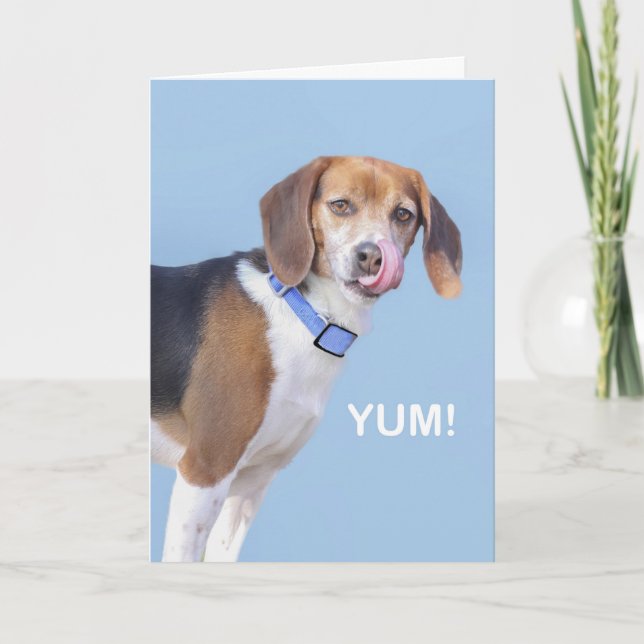Tarjeta de cumpleaños del beagle por el foco para (Anverso)