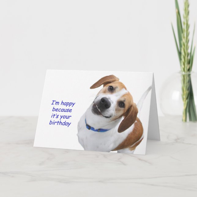 Tarjeta de cumpleaños del beagle por el foco para (Anverso)