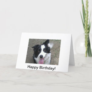 Tarjeta de cumpleaños del border collie