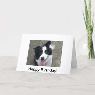 Tarjeta de cumpleaños del border collie