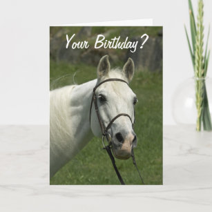 Tarjeta de cumpleaños del caballo blanco