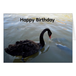 Tarjeta de cumpleaños del cisne negro y pez grande