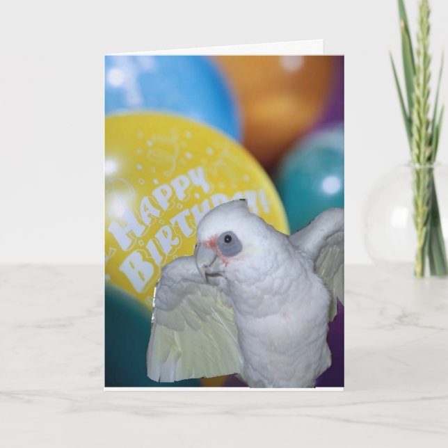 Tarjeta de cumpleaños del Cockatoo (Anverso)