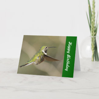 Tarjeta de cumpleaños del colibrí