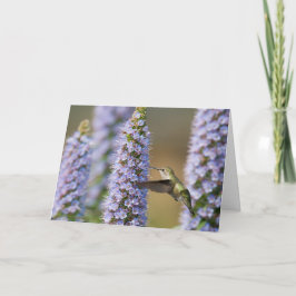 Tarjeta de cumpleaños del colibrí