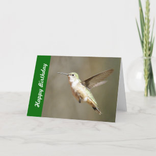 Tarjeta de cumpleaños del colibrí
