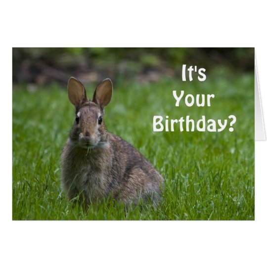 Tarjeta de cumpleaños del conejito