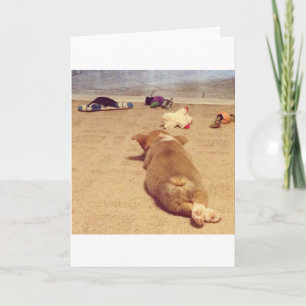 Tarjeta de cumpleaños del Corgi
