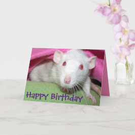 tarjeta de cumpleaños del Dumbo Blanco