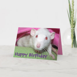 tarjeta de cumpleaños del Dumbo Blanco