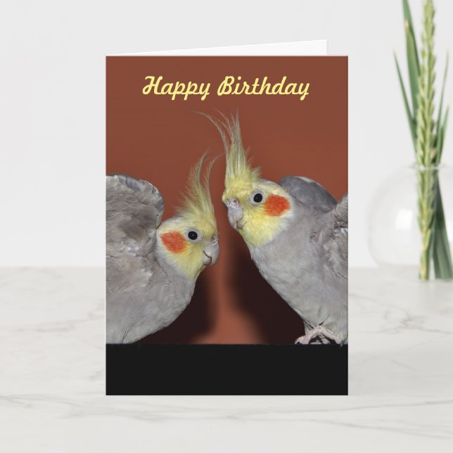 Tarjeta de cumpleaños del dúo del Cockatiel (Anverso)