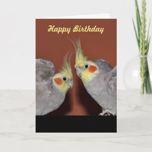 Tarjeta de cumpleaños del dúo del Cockatiel