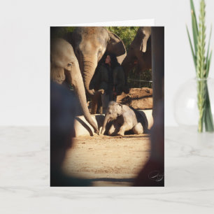 Tarjeta de cumpleaños del elefante del bebé