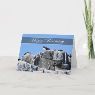 Tarjeta de cumpleaños del frailecillo, wildelife