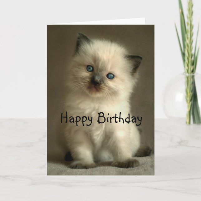 Tarjeta de cumpleaños del gatito de Ragdoll (Anverso)