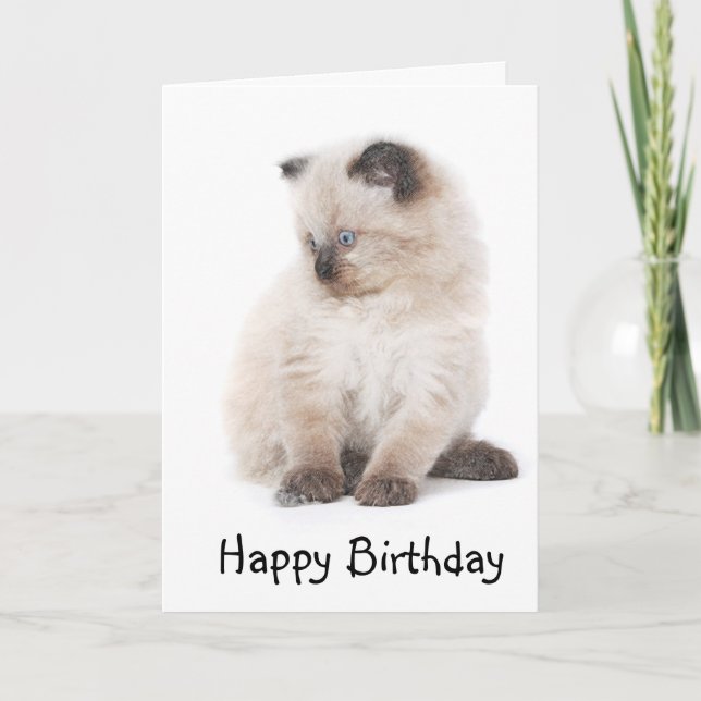 Tarjeta de cumpleaños del gatito de Ragdoll (Anverso)