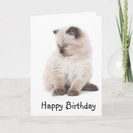 Tarjeta de cumpleaños del gatito de Ragdoll