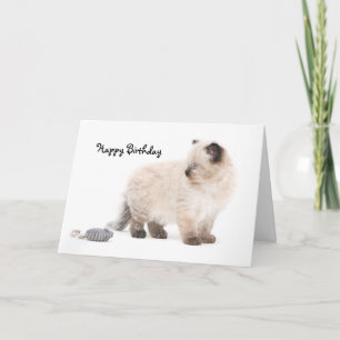 Tarjeta de cumpleaños del gatito de Ragdoll