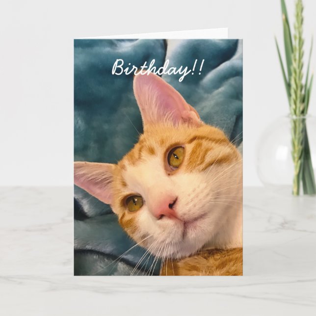 Tarjeta de cumpleaños del gato (Anverso)