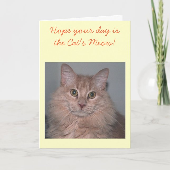 Tarjeta de cumpleaños del gato (Anverso)