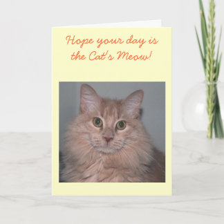 Tarjeta de cumpleaños del gato