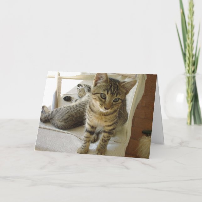Tarjeta de cumpleaños del gato de Bob (Anverso)