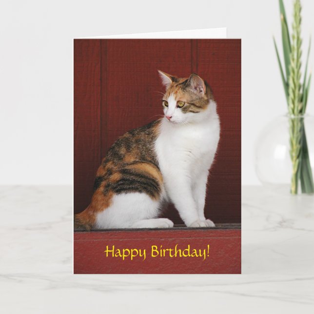 Tarjeta de cumpleaños del gato de calicó (Anverso)