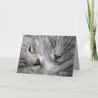 Tarjeta de cumpleaños del gato del bosque